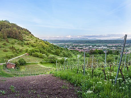 Wandern bei den Traufgängen - Schwäbische Alb