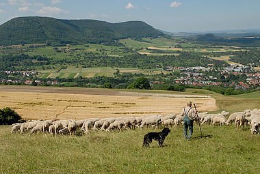 Blick auf die Schwäbische Alb