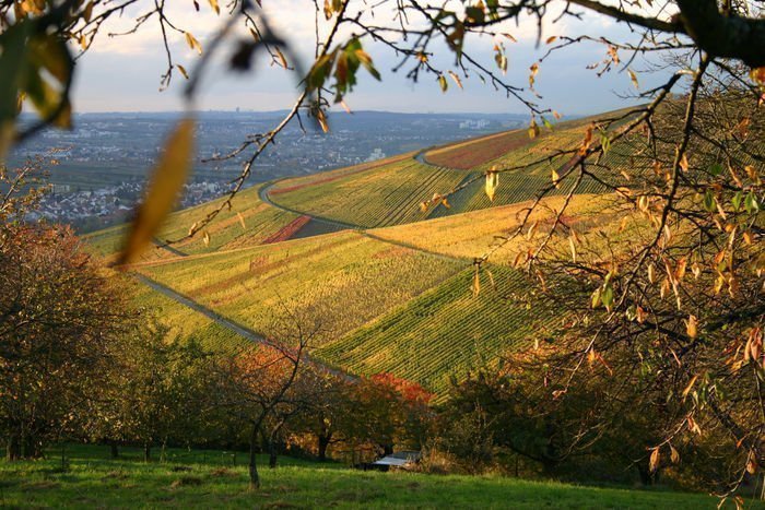 Wandern & Ausflüge nahe Tübingen