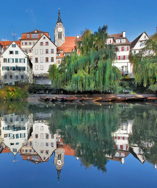neckarfront_mit_stocherkaehnen.jpg