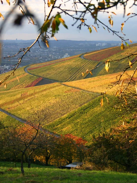 Die Schwäbische Alb in vollen Zügen genießen